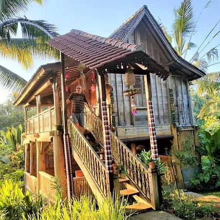 A Private Challet Getaway In Bali'S Tropical Jungle