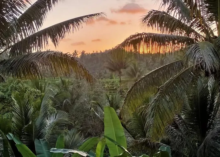 Jungle Haven - Private Nature Retreat Chalé *