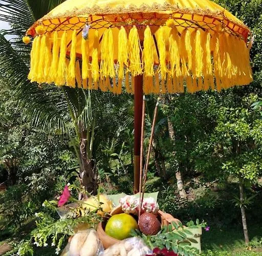Chalé Jungle Haven - Private Nature Retreat