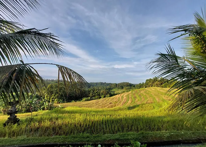 Jungle Haven - Private Nature Retreat