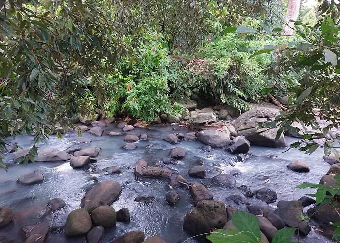 Jungle Haven - Private Nature Retreat Chalé *