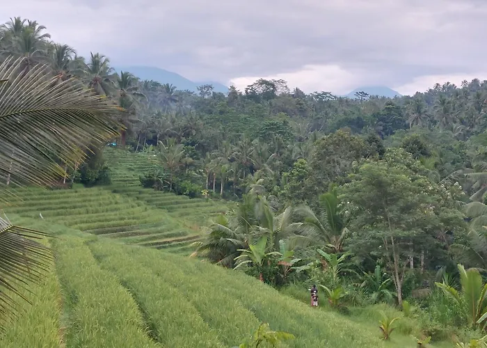 Chalé Jungle Haven - Private Nature Retreat
