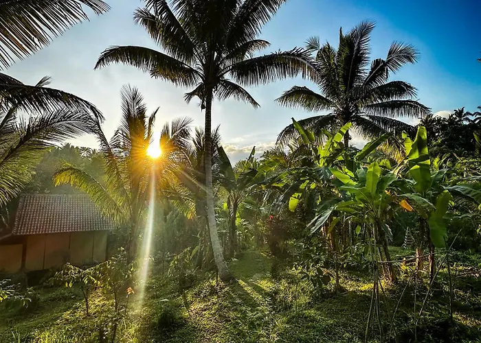 Chalé Jungle Haven - Private Nature Retreat *