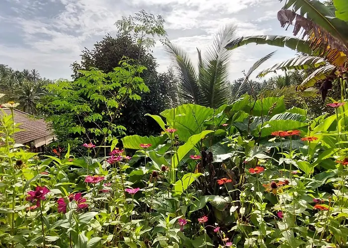 Jungle Haven - Private Nature Retreat