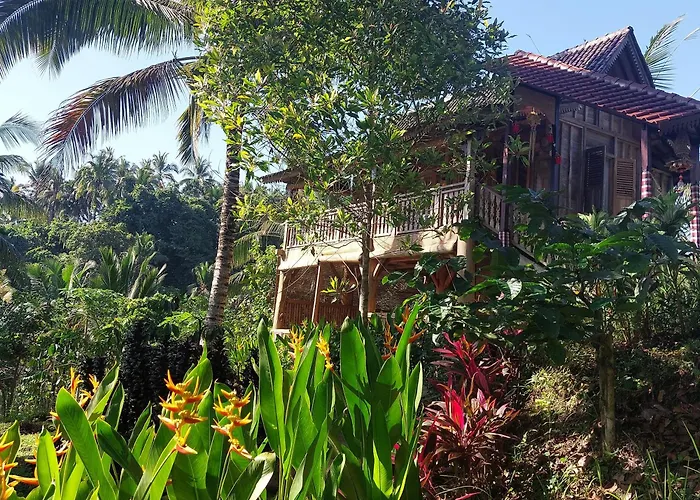 Chalé Jungle Haven - Private Nature Retreat